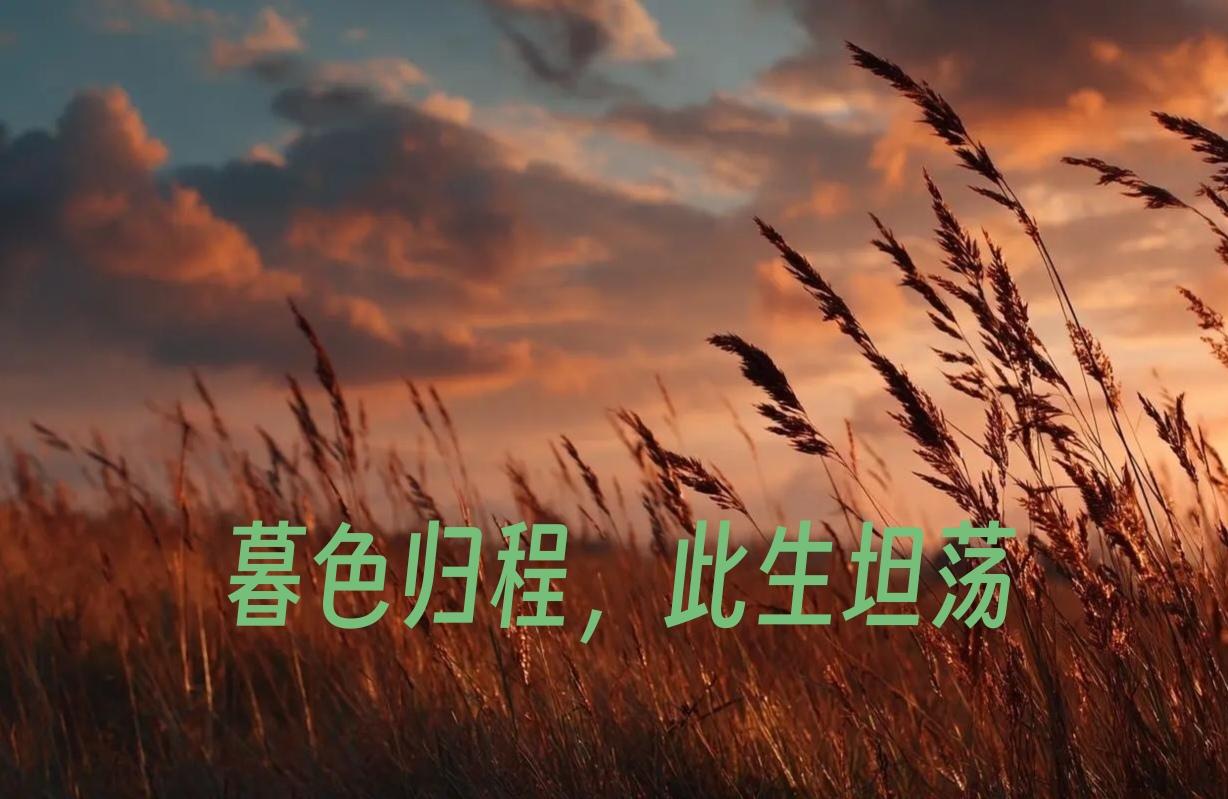 暮色归程，此生坦荡
 
暮色四合，人生的旅程已至终点。此刻的我，纵然被病痛缠身，