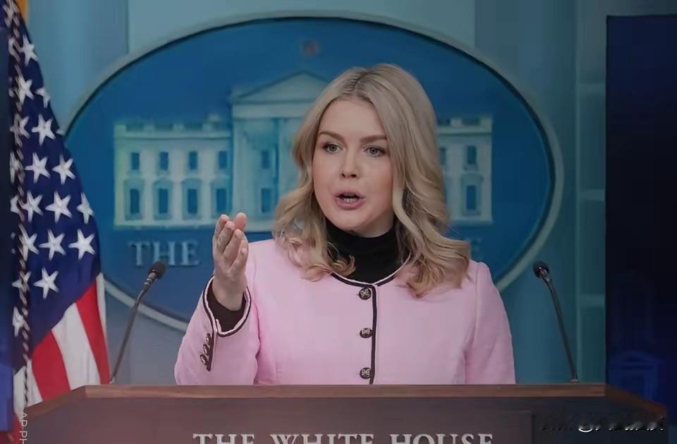 白宫：你们都不想美国好

白宫发言人卡罗琳发火了！这事真少见。

今天凌晨的例行