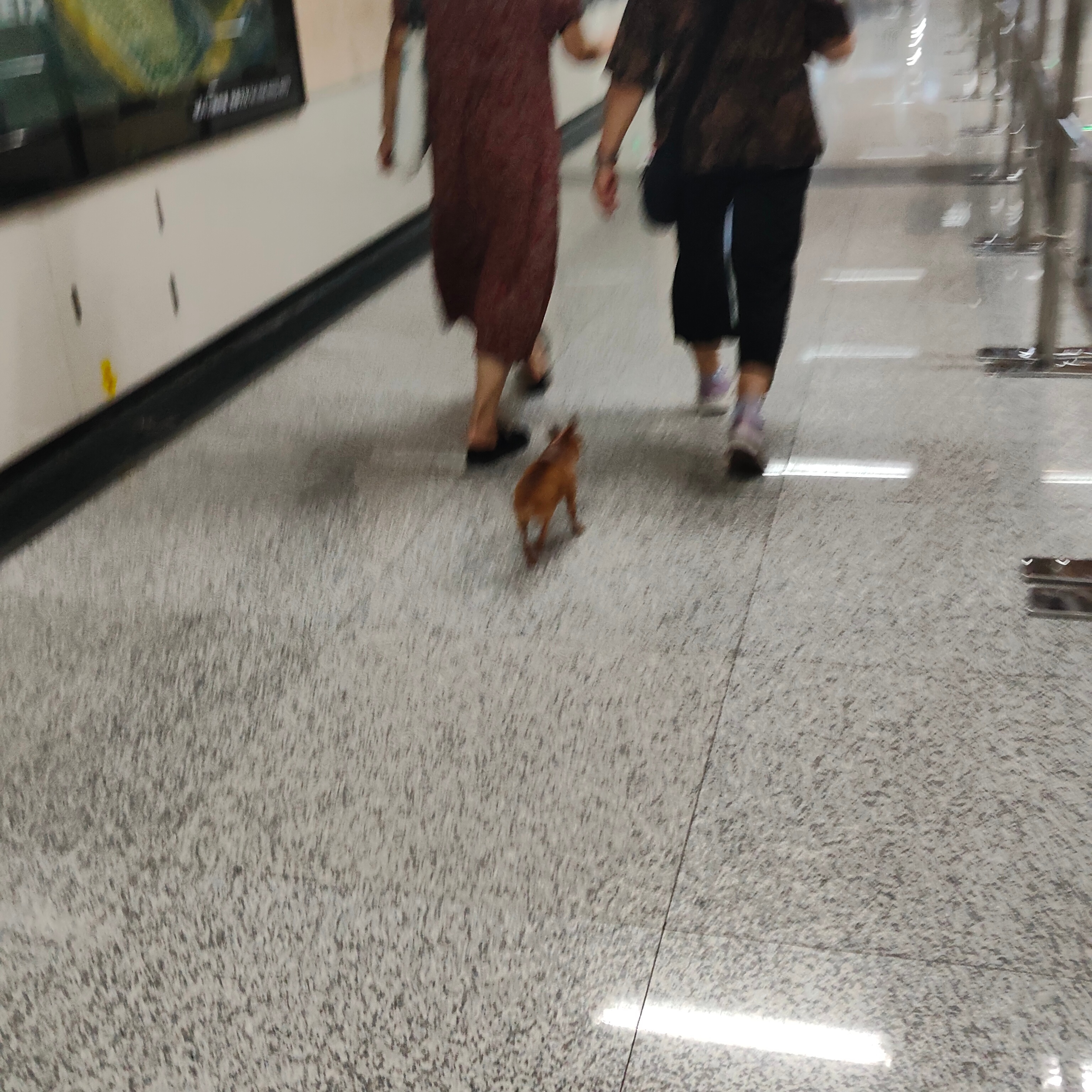 这小玩意儿 哈哈哈哈哈 ​​​
