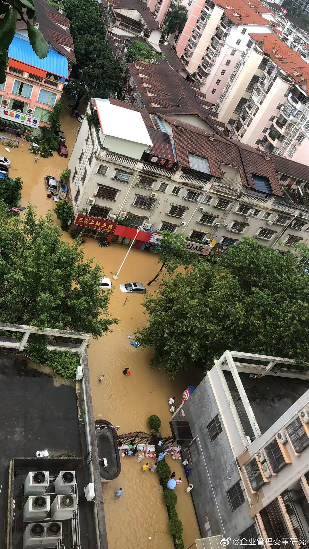广西抗洪今天贵港港北区的的灾情，大自然的灾害从来没有远离人类…… 