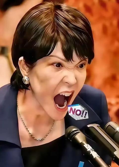 就在所有人都觉得该收手的时候，两个日本巨头，三菱和索尼，突然在中国市场砸下了重注