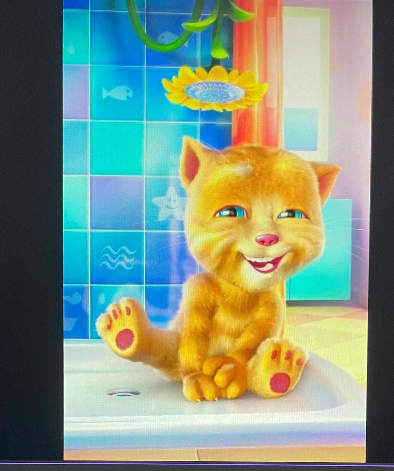 这只猫喵有十几年了。