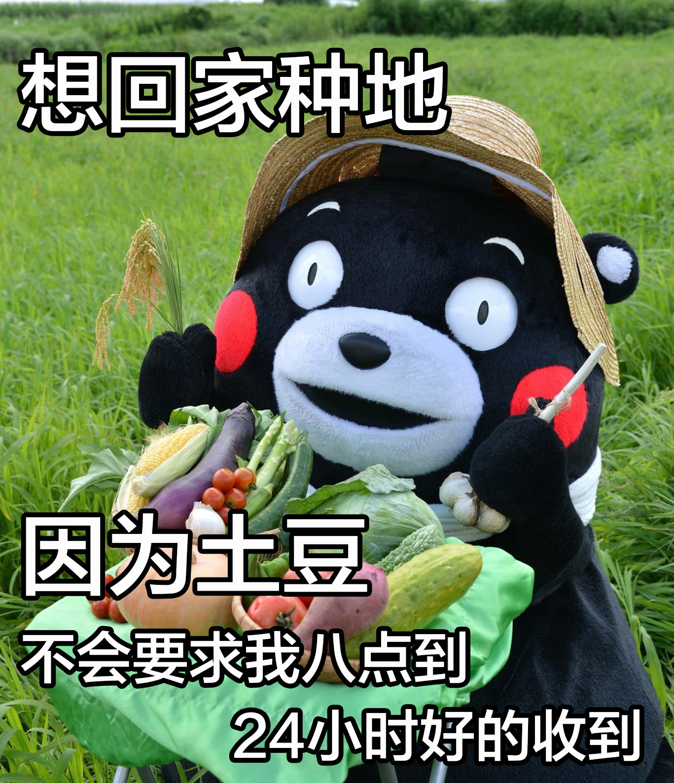 太真实了 ​​​