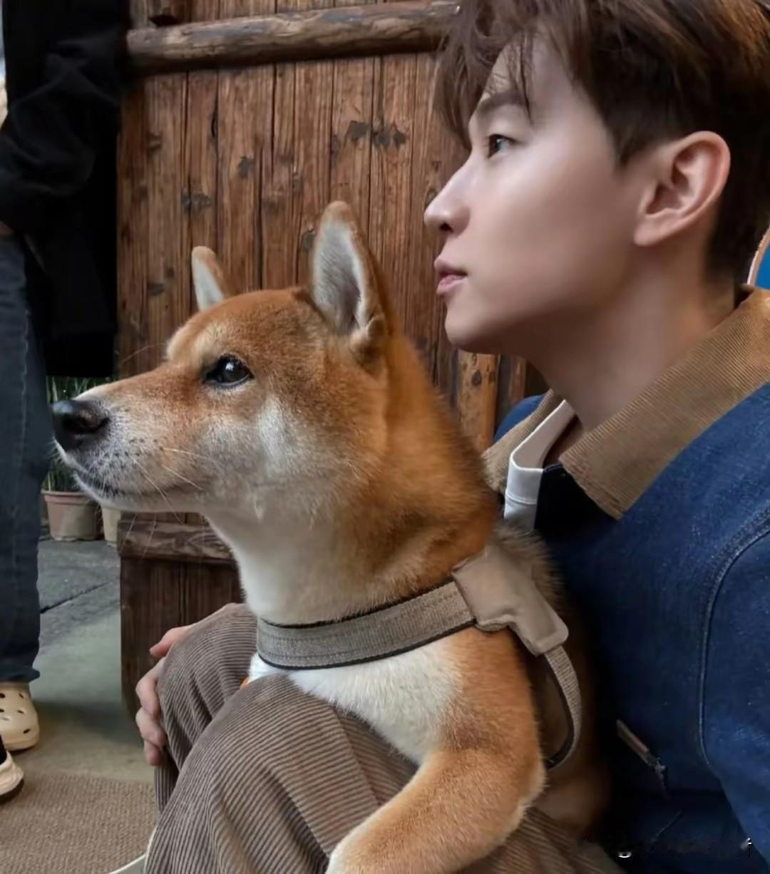 刘宪华明明国语说的不好，也没有多少作品，为什么观众会喜欢他。
刘宪华在向往生活如