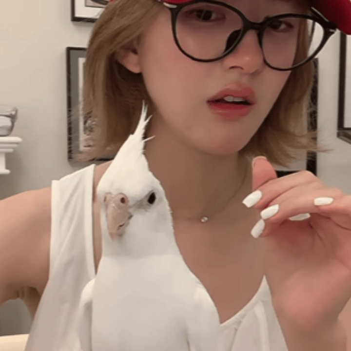 85现在流量最大的两个花是老丽和鼻姐，她两现在空瓶还能控一控，鼻姐我是真想不到，
