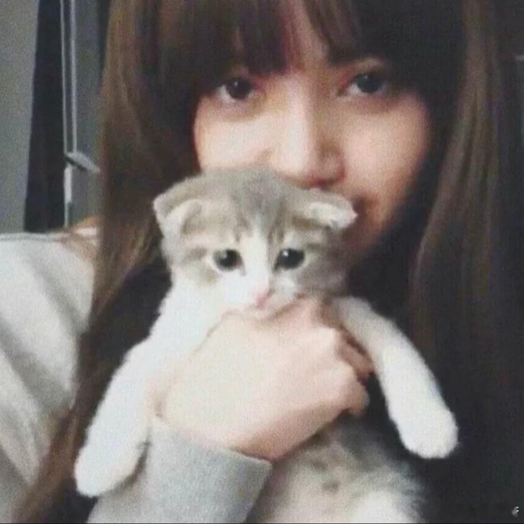 20250507 Lisa头像分享 Lisa更新ins ​​​
