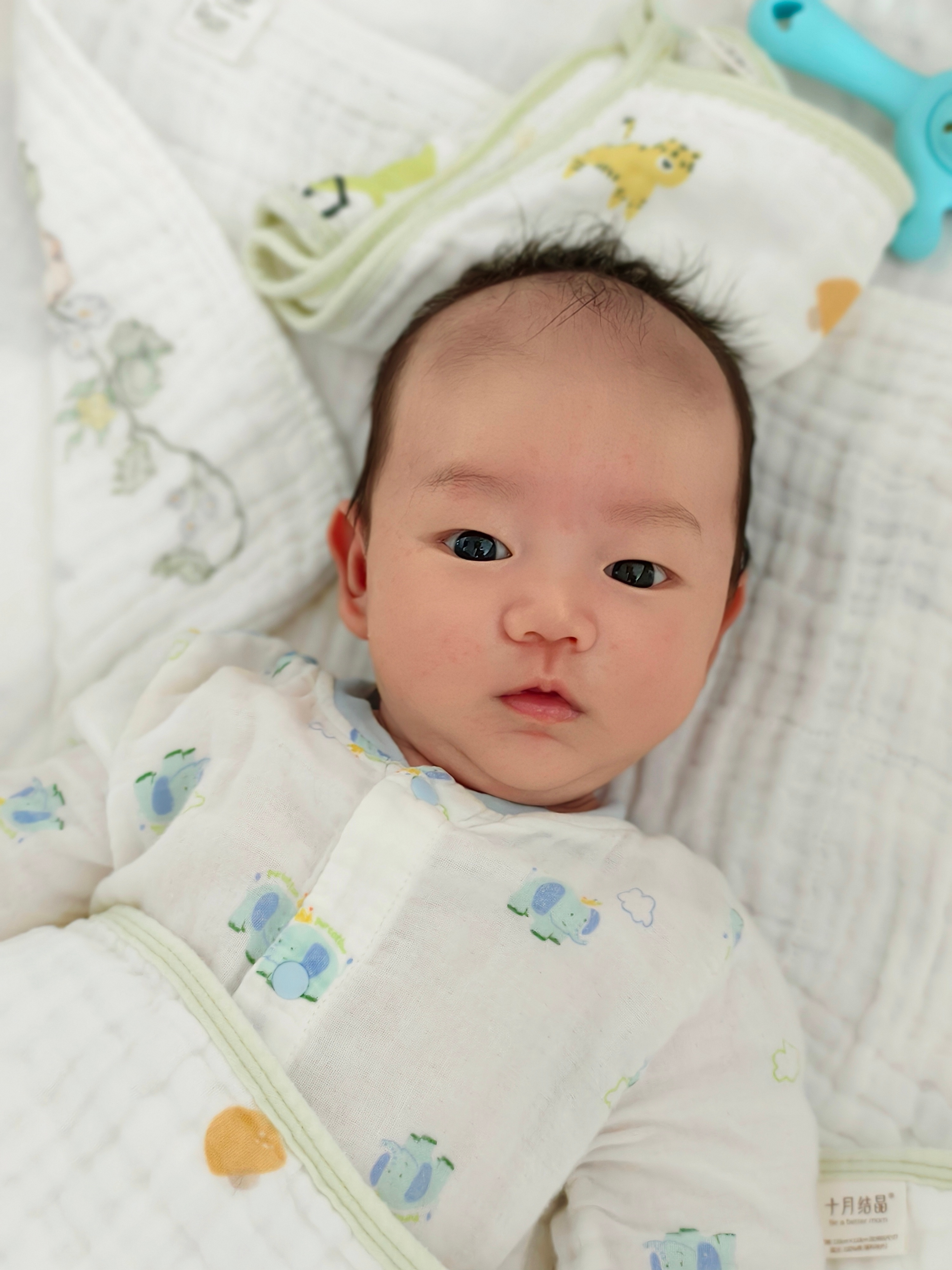 萌宝上线啦～目前已经8斤多了[馋嘴] ​​​