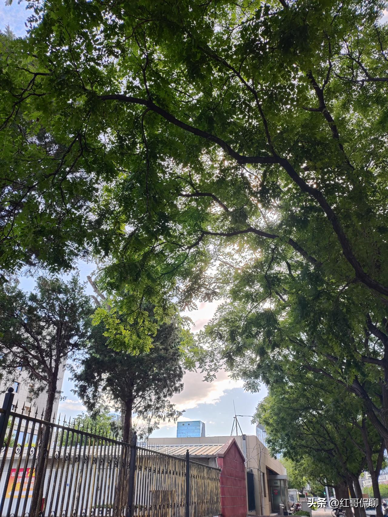 今天路过一个单位大门口，看见保安给进入的车辆都行礼，为啥非得这样呢？AI这样说：