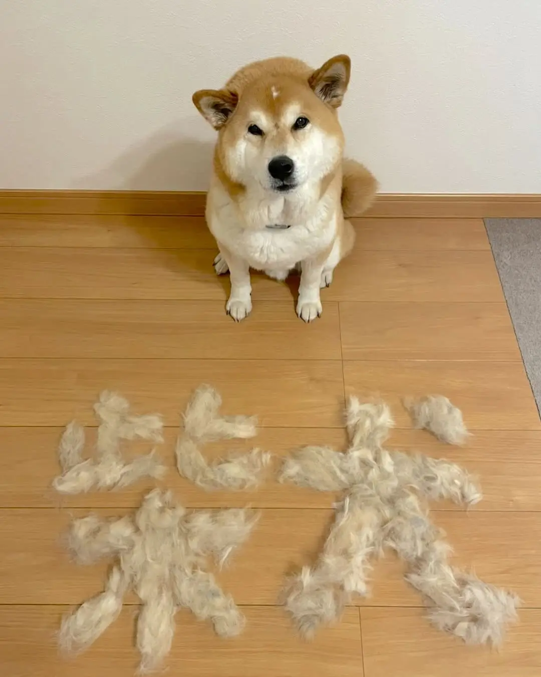 给自己带盐
