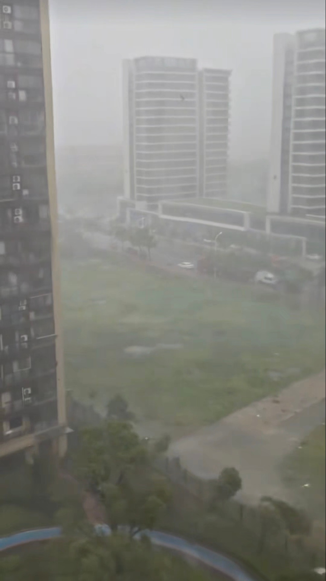 现在外头好可怕窗户都哐当哐当响，风呼呼的吹白海豚提前登陆