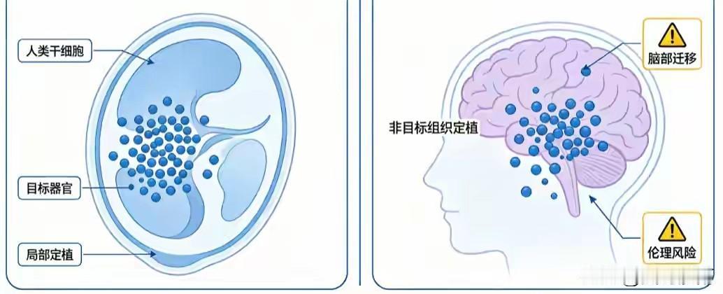 别只盯着战机导弹！日本秘密培育“半人半猪”，大国生物博弈有多残酷？

每天，全球