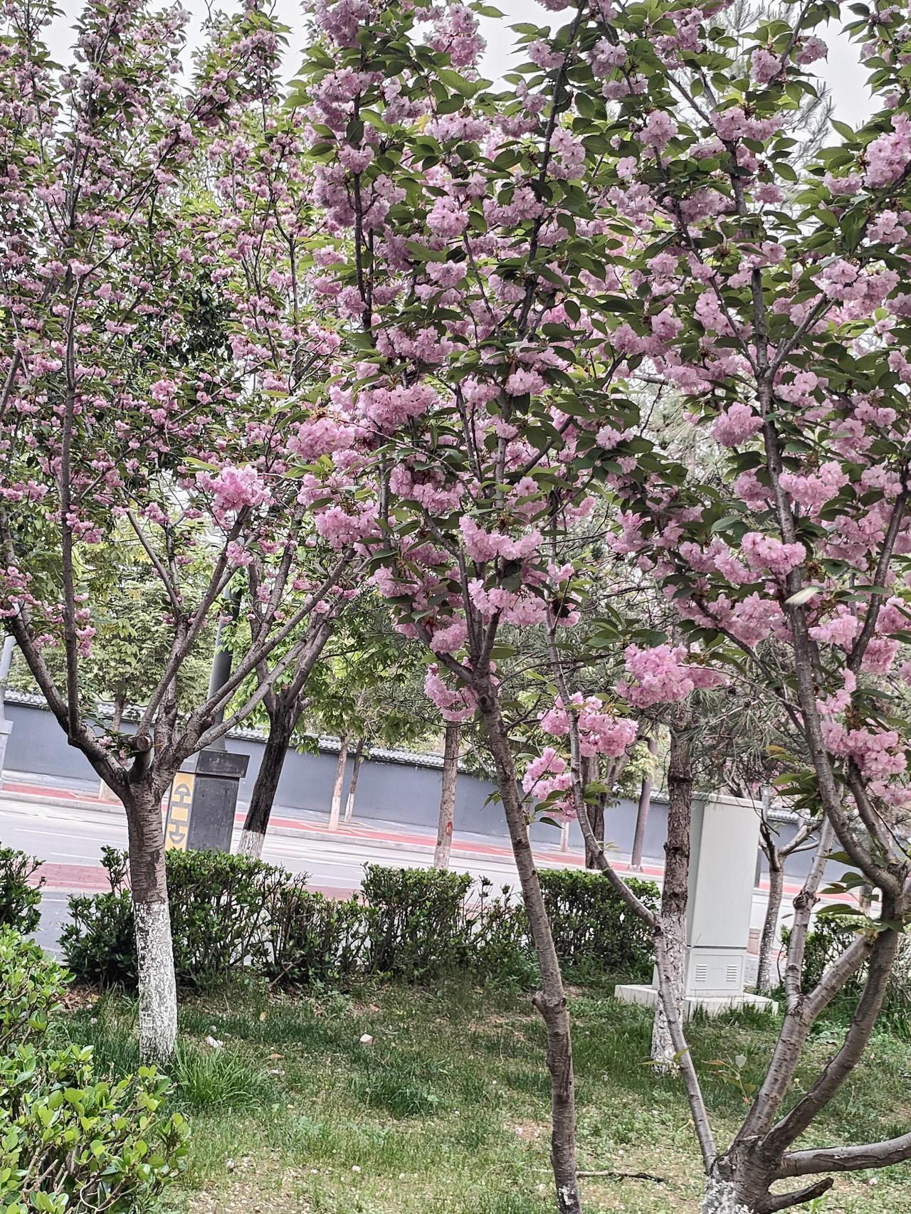 识人在心不在言，看破不说破，是成年人的清醒
 
人这一辈子，会遇见形形色色的人，