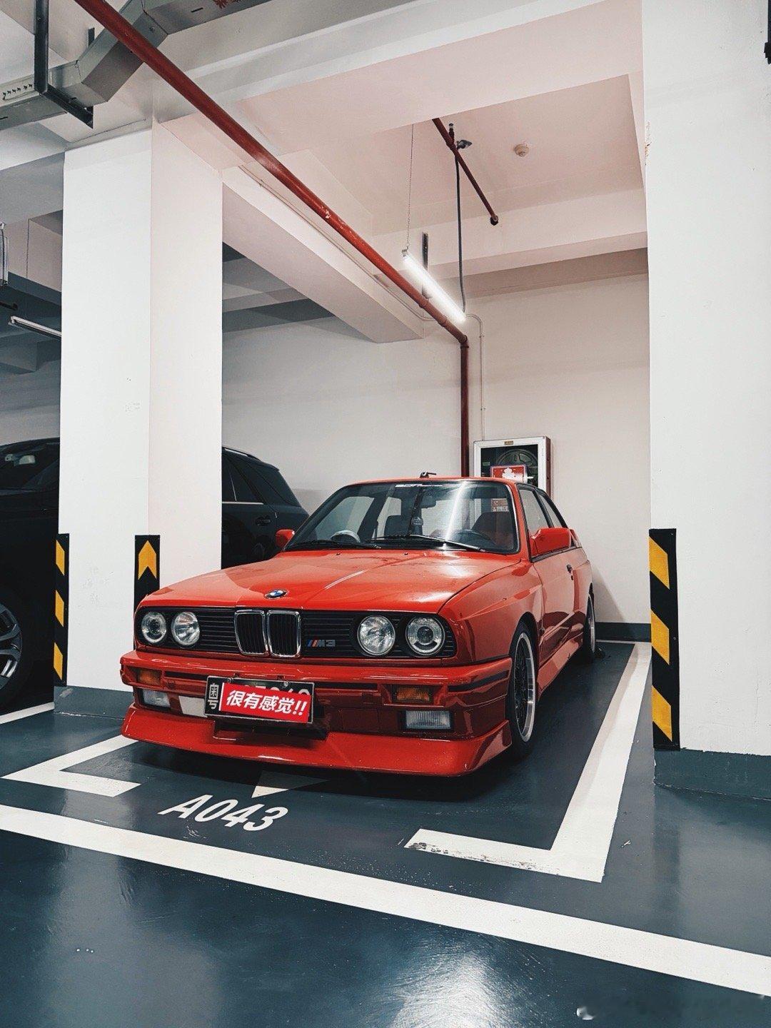 这两天见的一些 还是秋天来广东天气舒服啊 