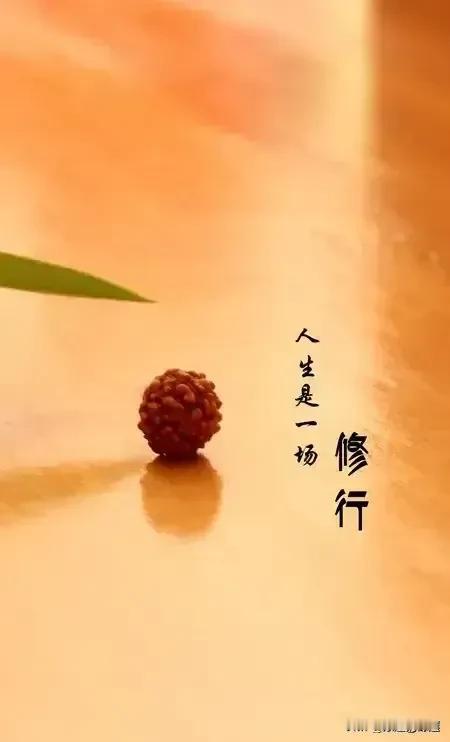 你有这样的感受吗？
我们在这个末法时期，有缘接触到了佛法，难免会有进入到寺院里的