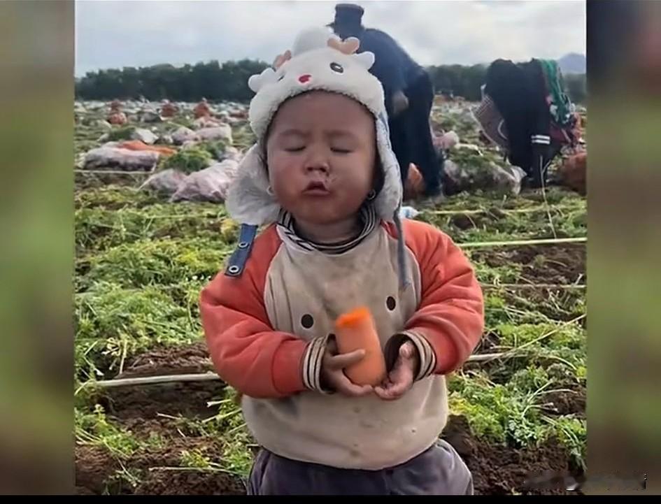 被全网称赞的中华田园娃太可爱了，
戴着可爱的小帽子，
在田地里面专心致志吃着刚出