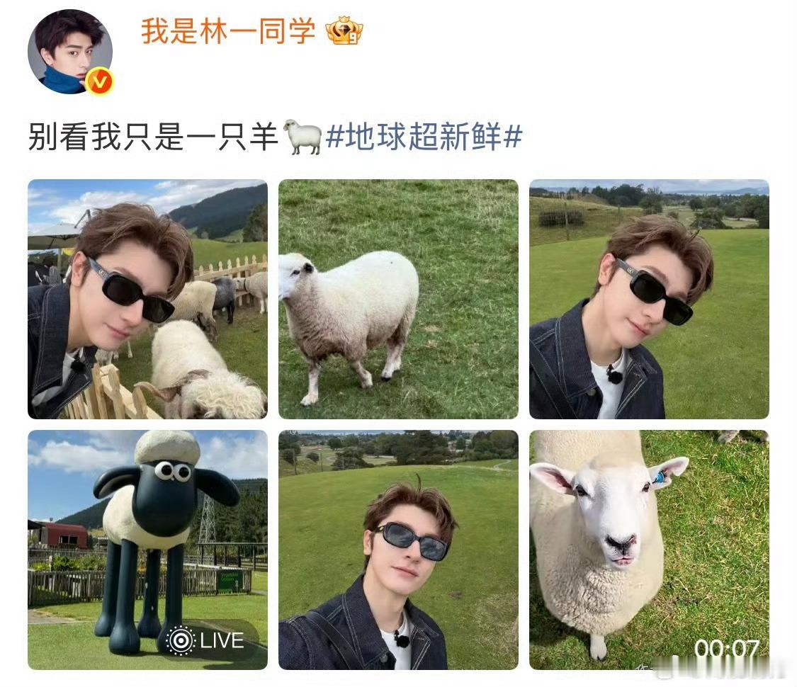 林一周也低山臭水遇噪音不愧是低山臭水遇上双倍噪音组合，开口瞬间音调集体放飞完全不