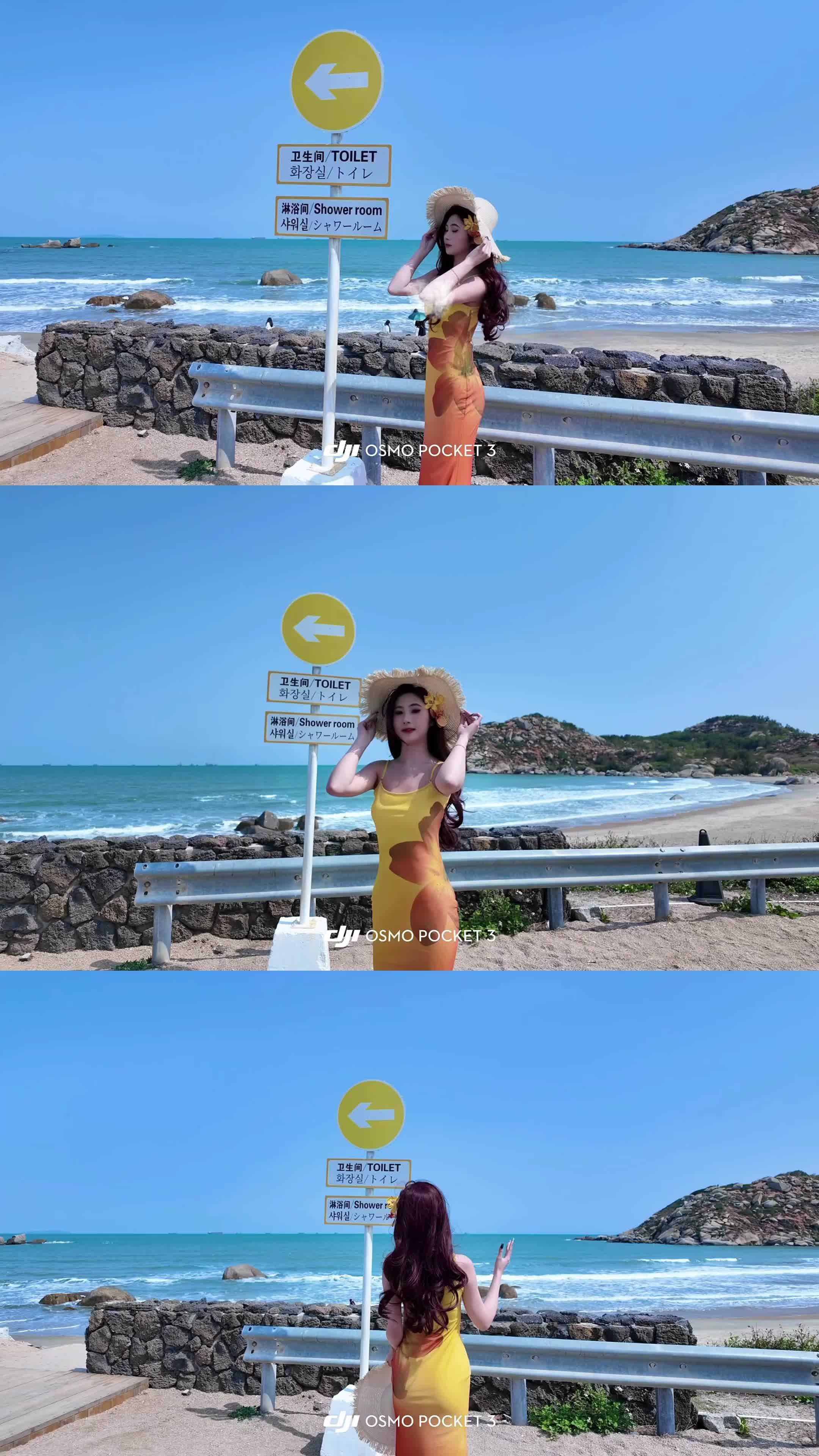 我的身上有一个不可战胜的夏天