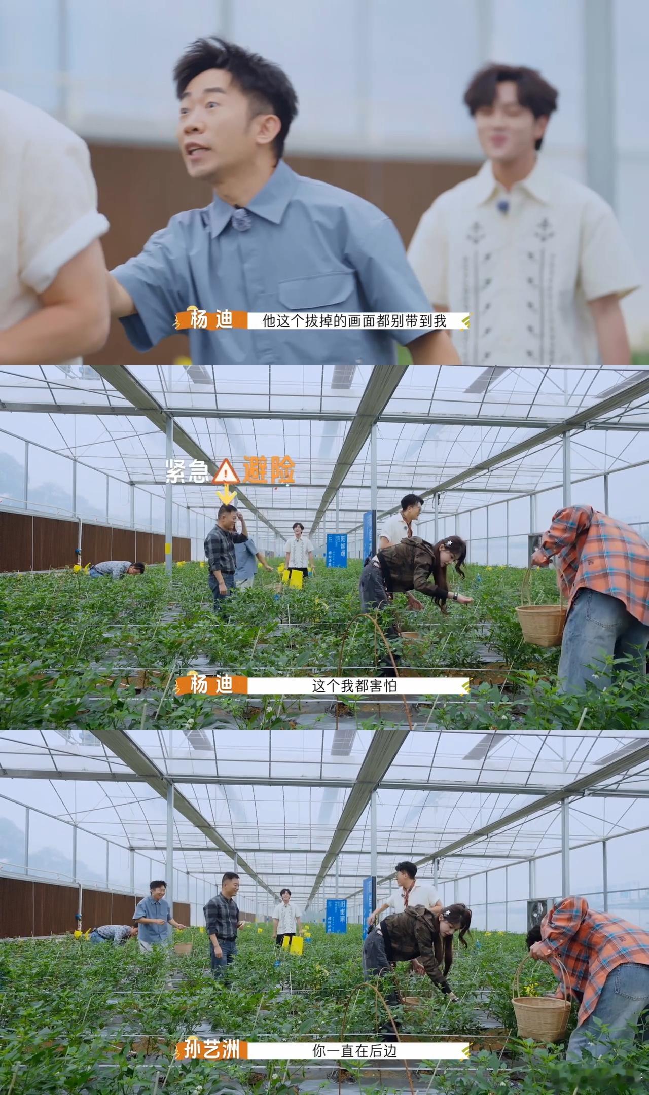 杨迪的公关速度有多快非来不可 老综艺人的实力藏不住！孙艺洲闯祸后，杨迪立刻开启公