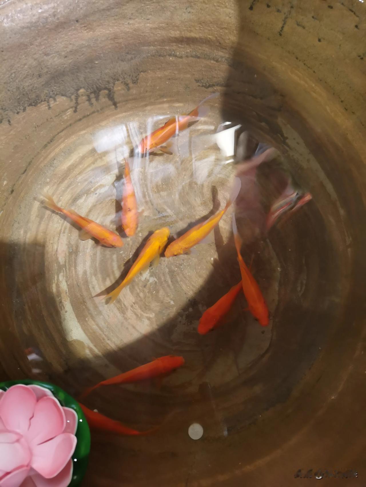 天南地北大拜年戳这里，一起放烟花>海底世界
