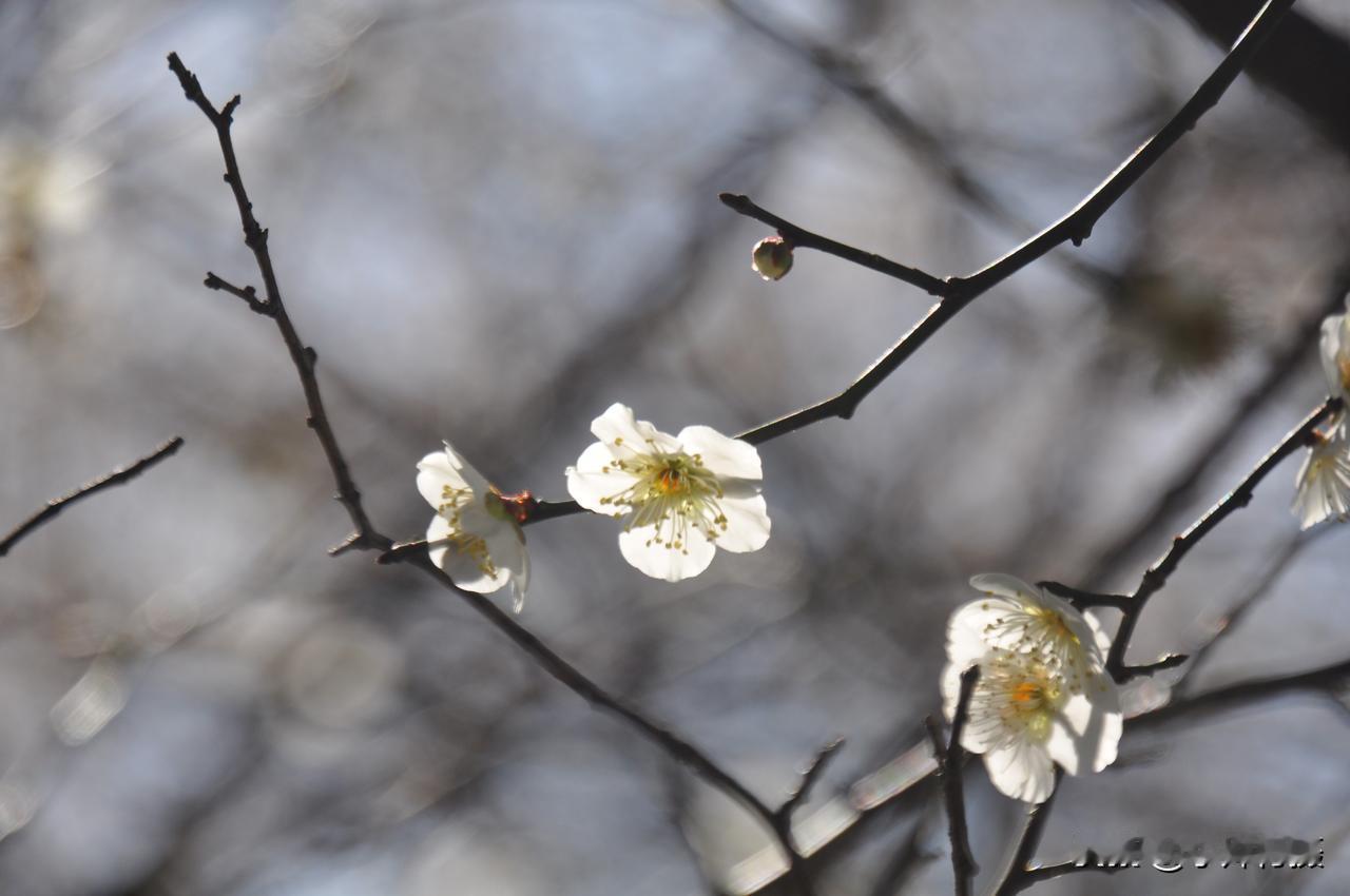 瞎说用你的方言家乡话怎么说?
瞎说用我们台州的方言家乡话叫"呆度讲"台州土话
