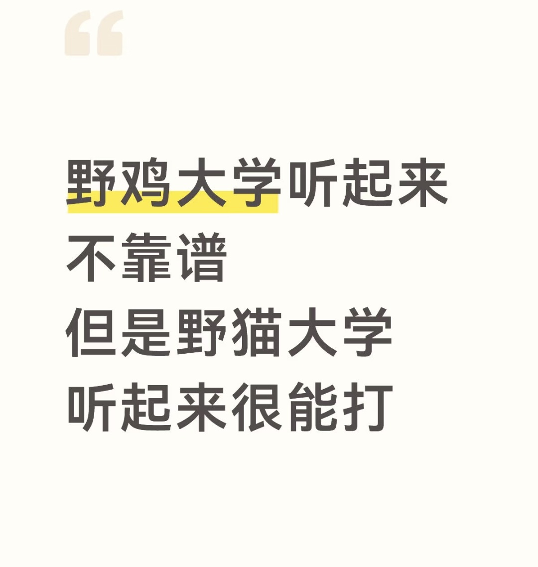 哈哈哈哈哈野猫大学出来的一听就是身手不凡 