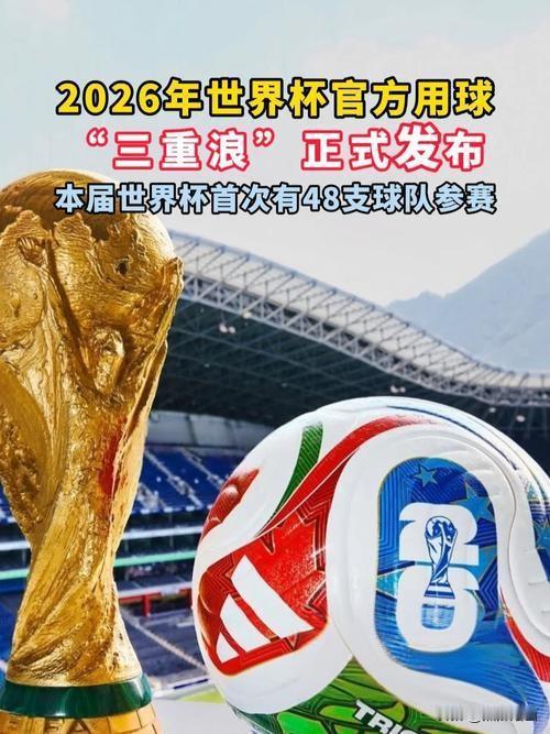 ：
 
1. 挪威队：这是挪威时隔28年重返世界杯，球队的黑马资本集中在哈兰德和