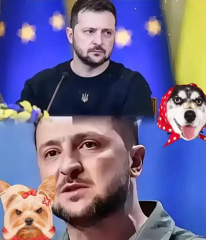 万万没想到
乌克兰消息！11月26日，乌克兰总统泽连斯基在视频讲话中宣布，他期待