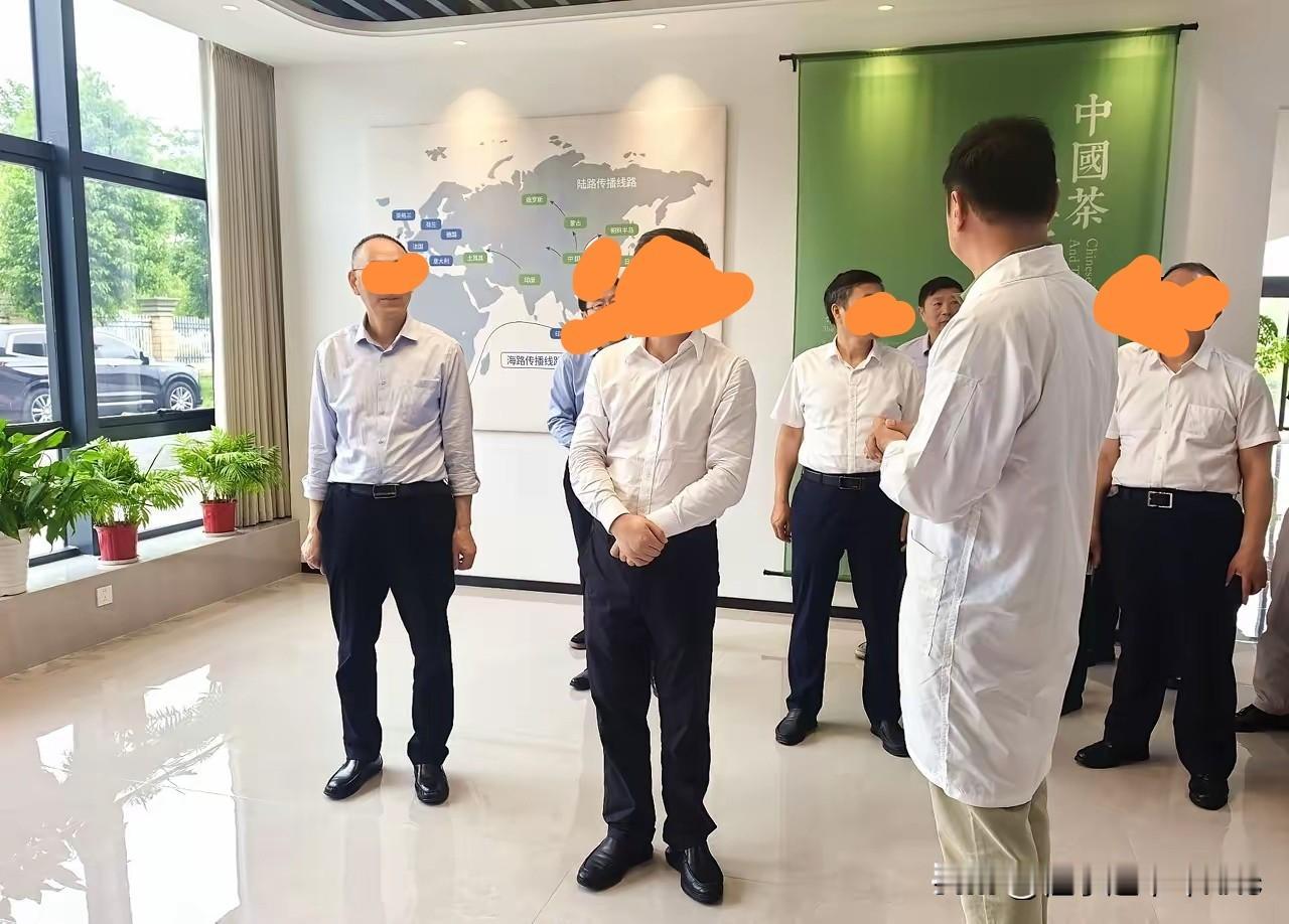 偶尔看到一幅政务视察图片，不由得仔细品味起来，从站姿站序到服饰表情。

图中其中