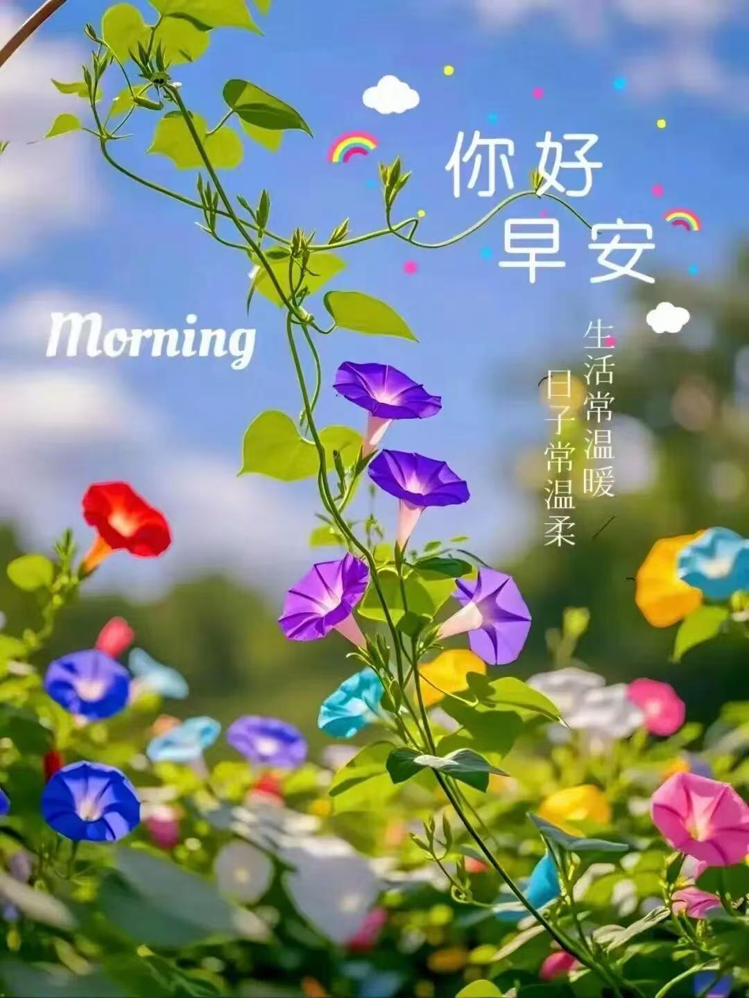 分享图片 