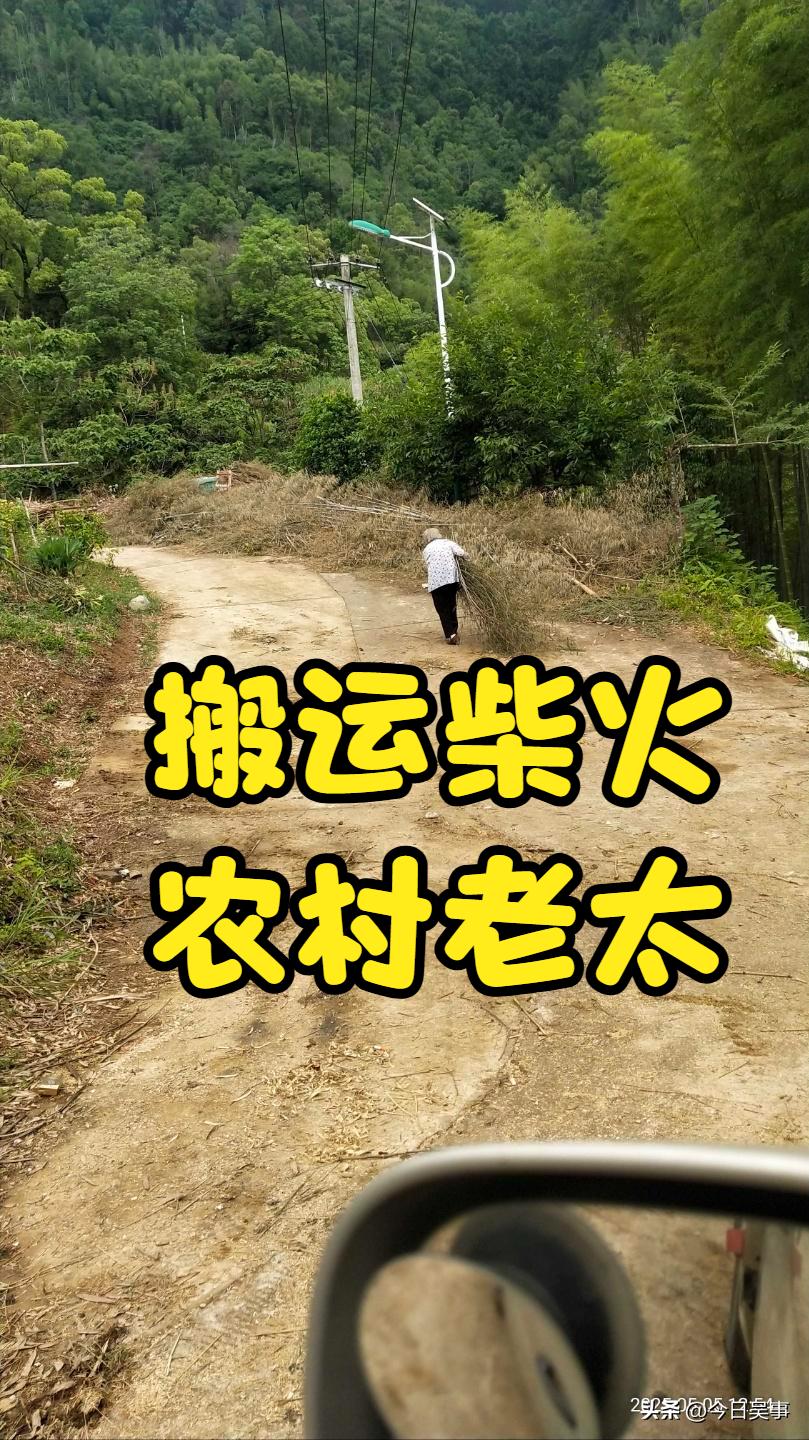 你挖过草根吗？你往家背过树叶吗？
现在的年轻人一脸的迷茫，这不是垃圾吗？往家背干
