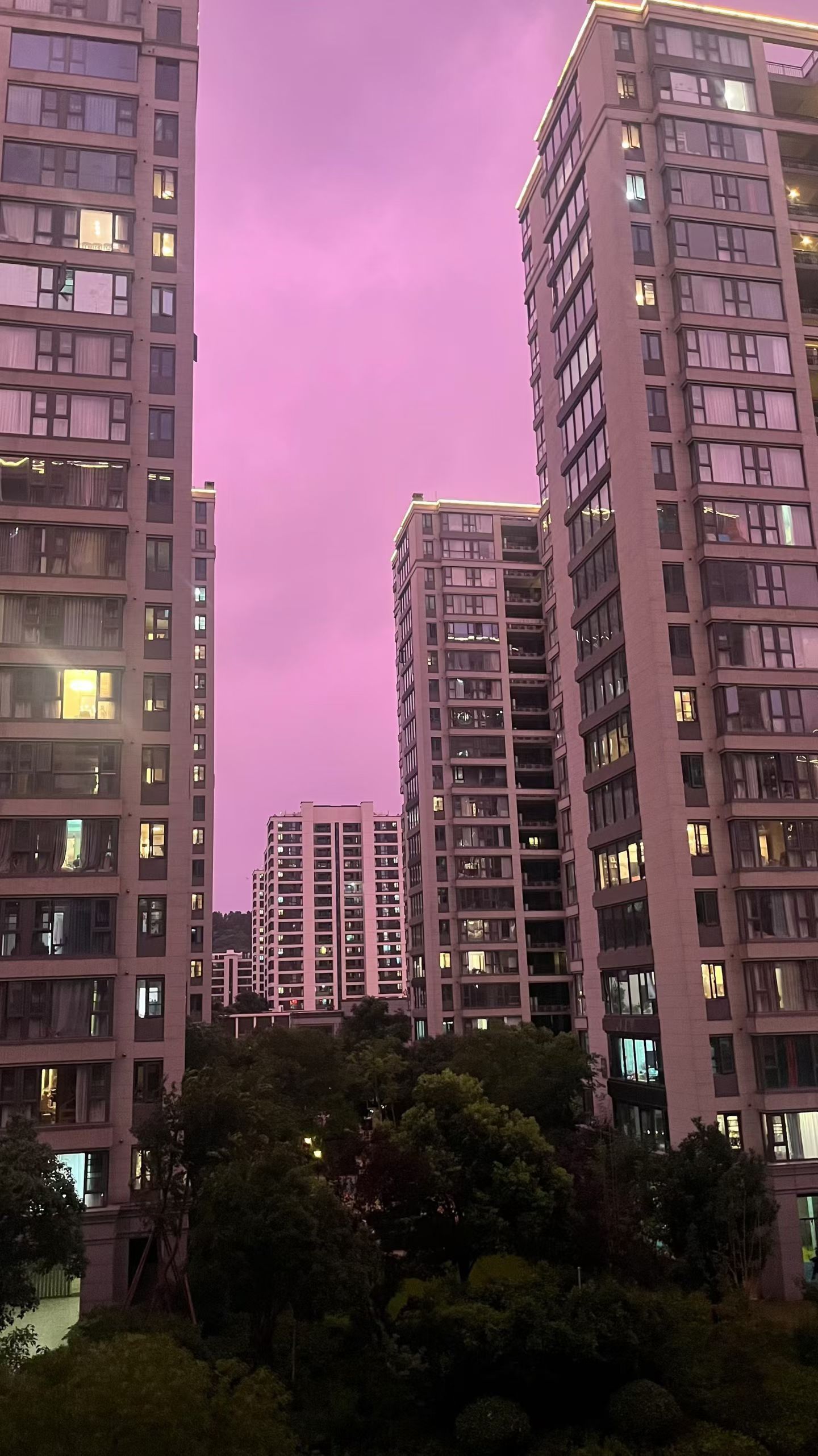 台风前夕，杭州朋友圈的图，每个人对这场台风，都很相信这座城市，这次预警做的很好，