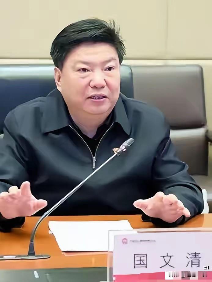 国文清投案，印度那座全球最大高炉该不该建？
​五矿原总经理国文清投案了，消息一出