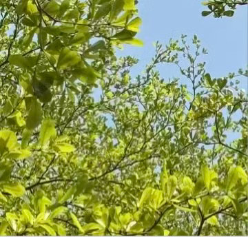 只要心向阳，不管黑暗，走到哪都光明。只要心胸开阔，不管世界再小，走哪都有你一片天