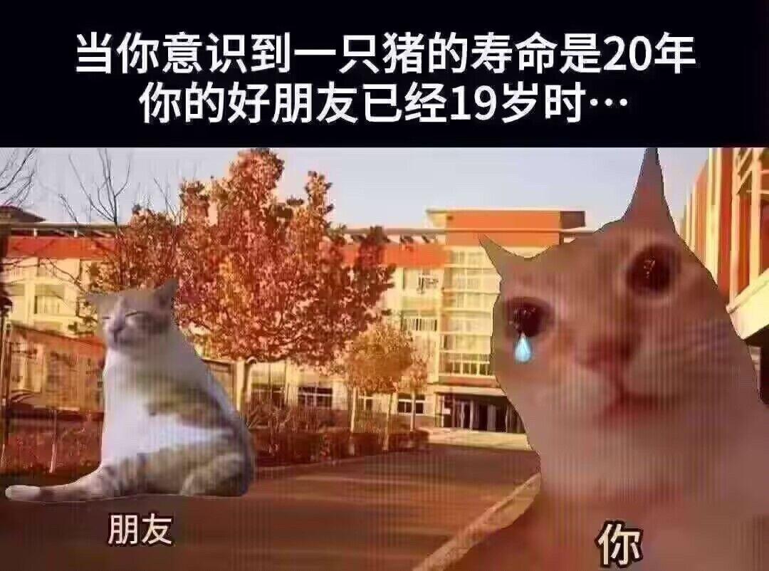 呜呜 ​​​