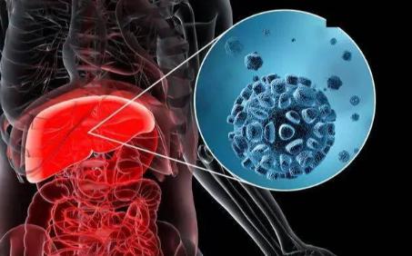 乙肝“有没有治好”不止看表面抗原，这几点更关键！
很多乙肝患者把“表面抗原转阴”