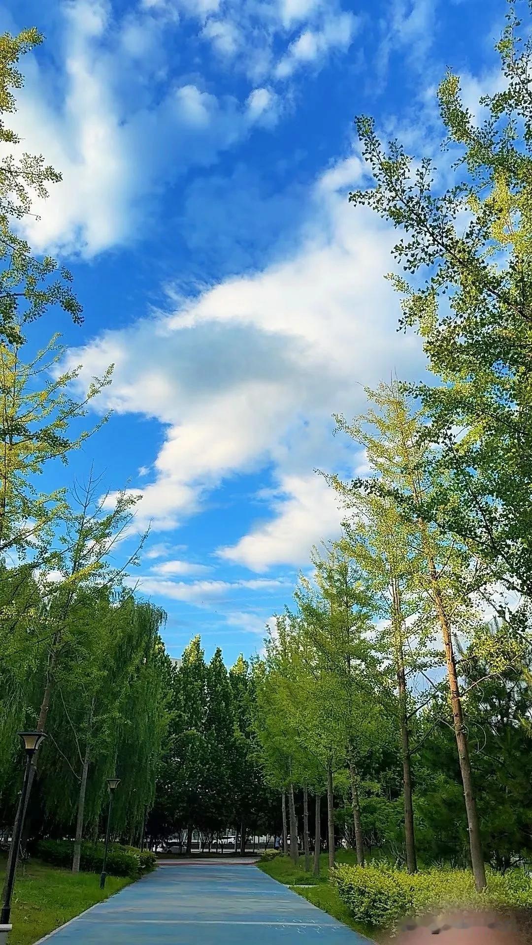 真心话茶局今年夏天天气多变，但蓝天一直在线。