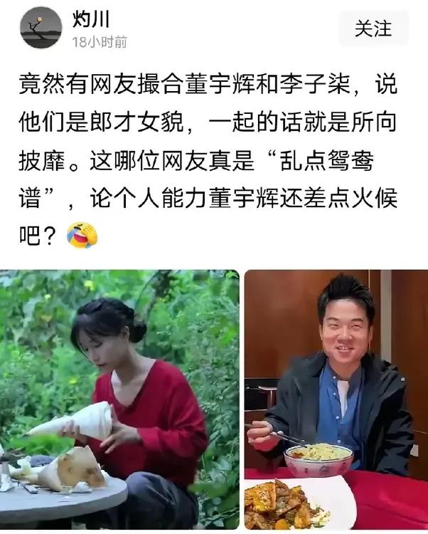 捧一贬一没必要，估计李子柒和董宇辉谁也瞧不上谁！


既然不是一个赛道的人，各自