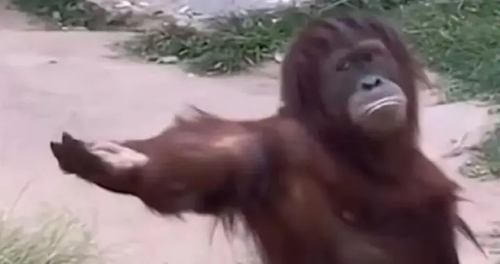 龚宇你别心疼人了