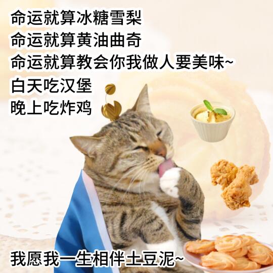 大馋丫头干饭表情包