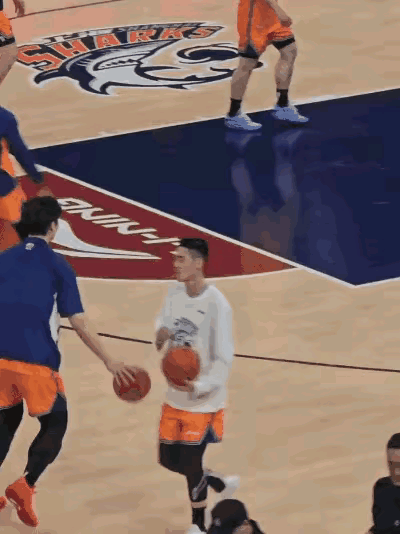 王哲林身高214厘米，今年32岁。
詹姆斯身高206厘米，今年41岁。其实二者弹