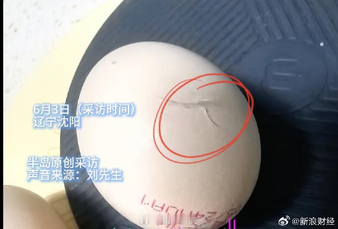 【黄天鹅可生食鸡蛋现鸡毛鸡屎】黄天鹅客服称鸡蛋带鸡屎正常近日，辽宁沈阳的刘先生在