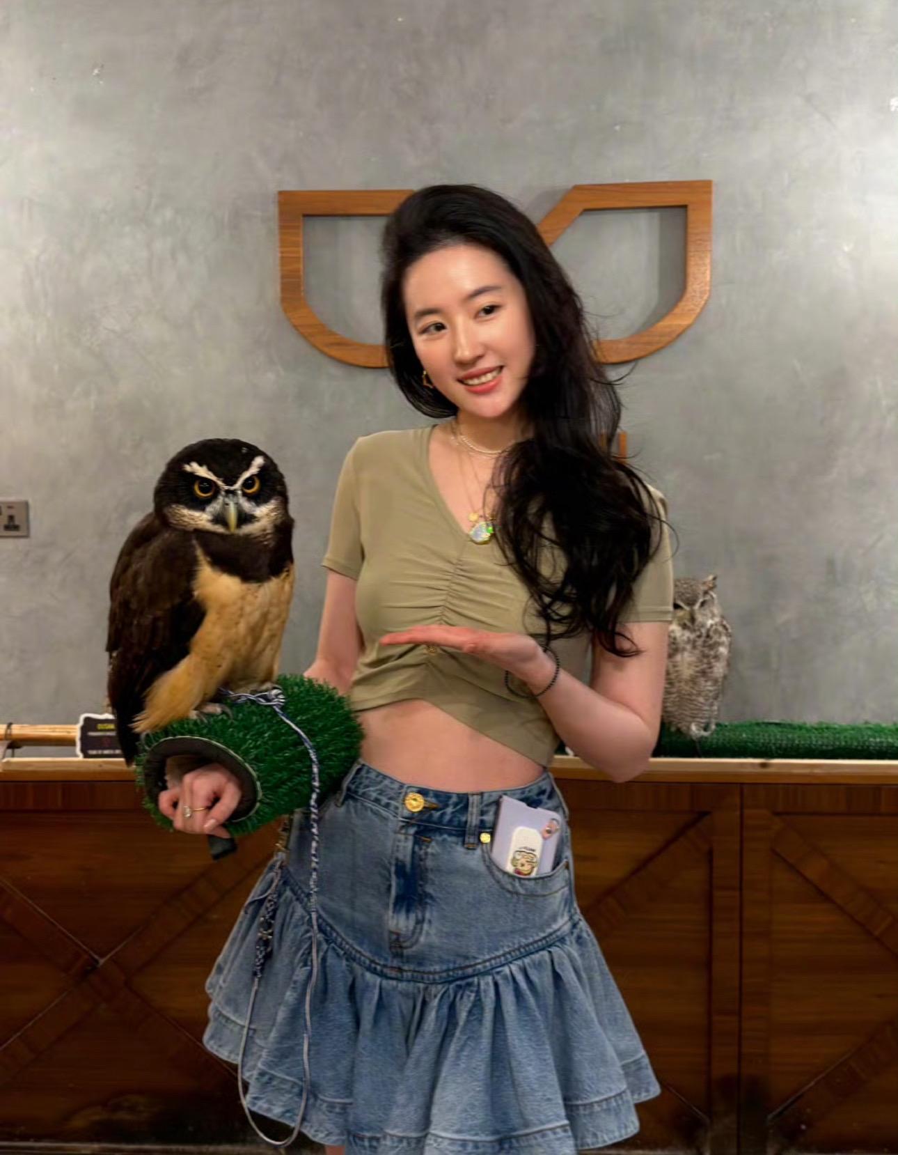 猫头鹰🦉和姐 可爱可爱。