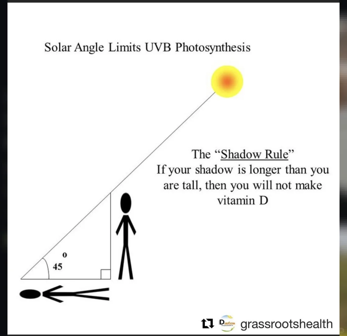 影子法则与维生素D
