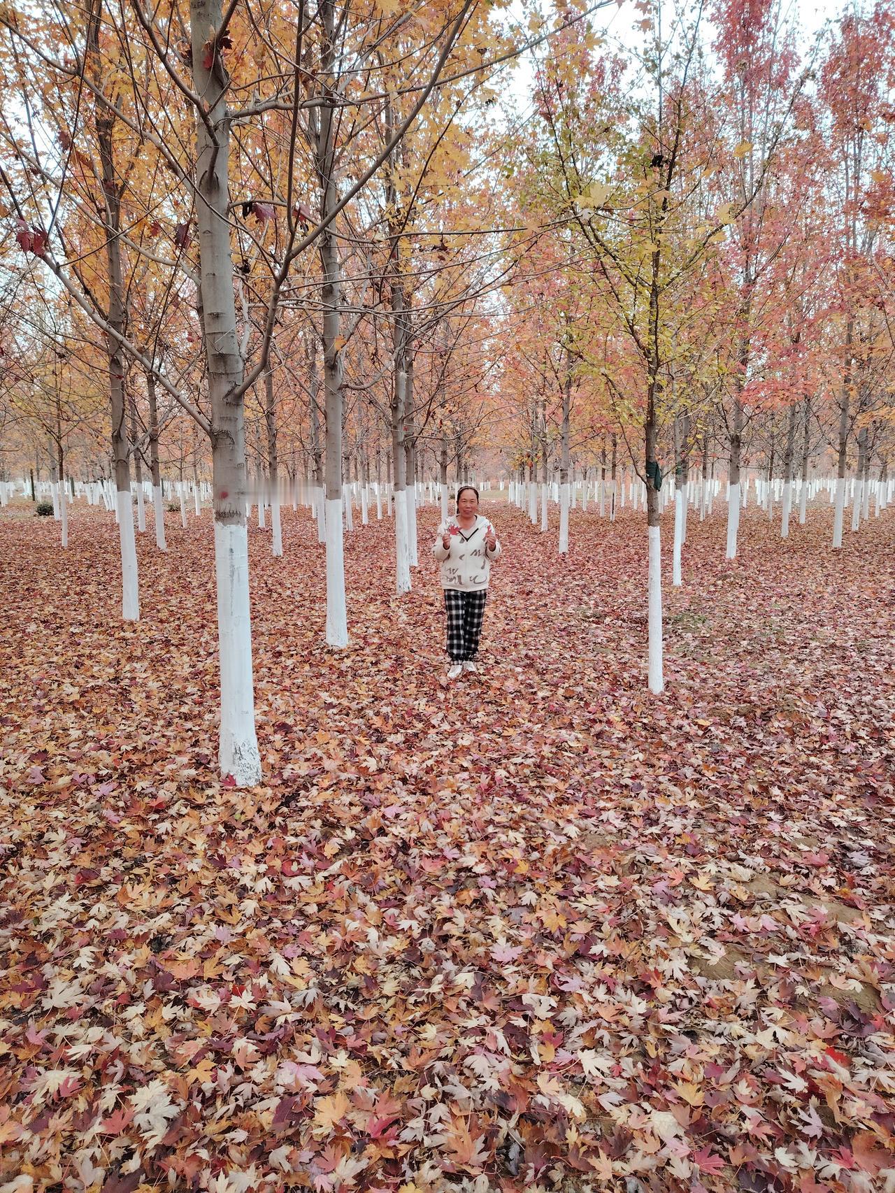 收藏我觉得发表作品被别人收藏是好事，有被收藏的价值，以后我还会多多努力，发布作品