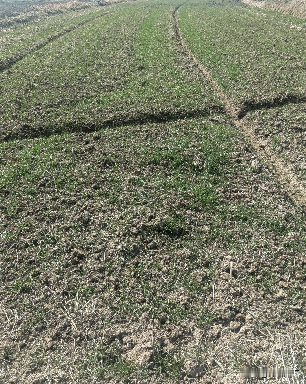 村（社区）“两委”主要领导及职能

一、村（社区）党组织（领导核心）

1. 党