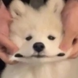 子铭爱品娱乐
