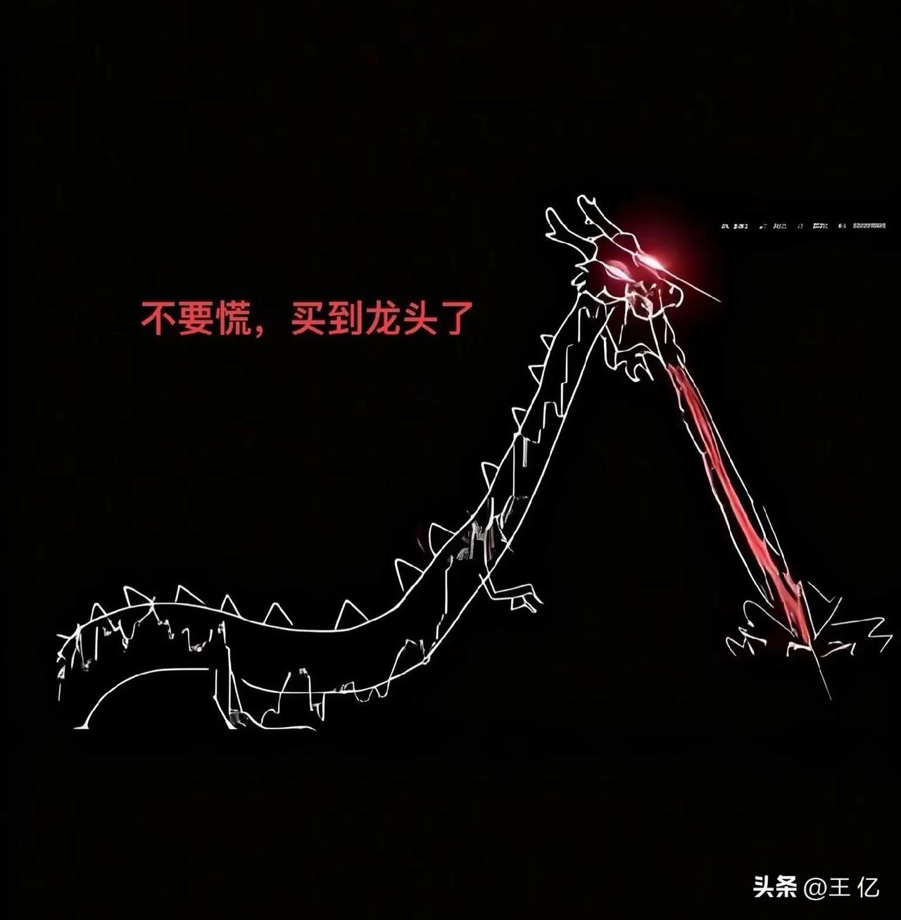 2015-2025年内涨幅最高龙头排行榜

2015年：特力A         