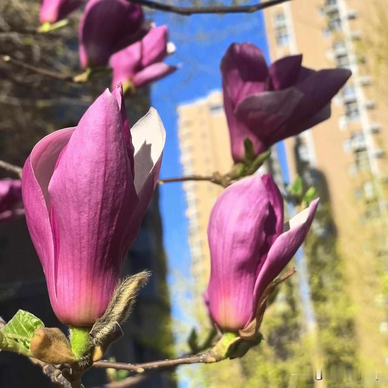 人生本就没有标准答案，
不必追赶别人的脚步，
守好本心，慢慢走，
自有属于自己的