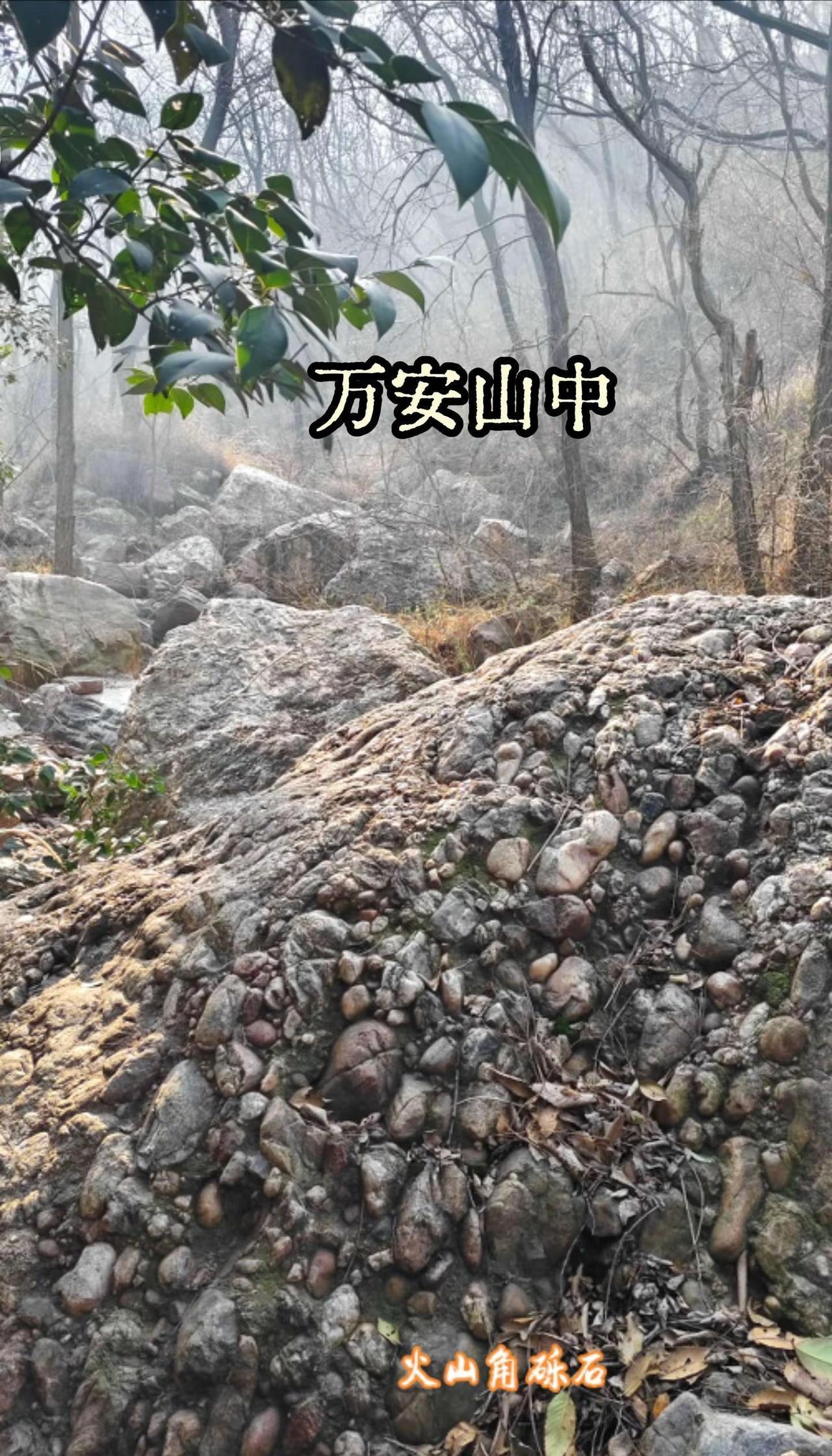 万安山中无名沟。万安山属嵩山余脉，位于洛阳市区与伊川县交界，海拨不高仅九百米左右