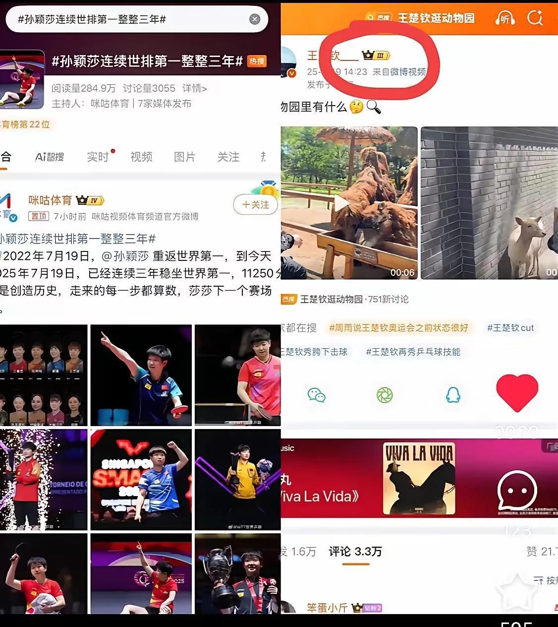 今天是莎莎重返世界排名第一整整三年的日子，值得喜欢莎莎的人们纪念。
头哥今天下午